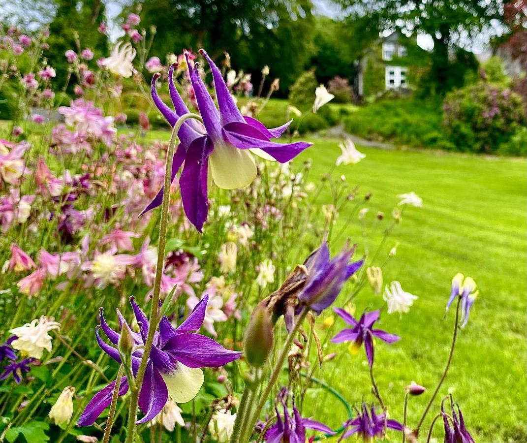 Crow How Country Guest House Ambleside Exterior foto